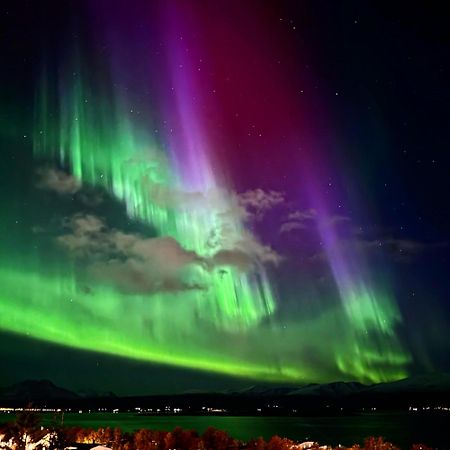 Cosy 2-Rooms Apartment In The City Center Tromso Bagian luar foto